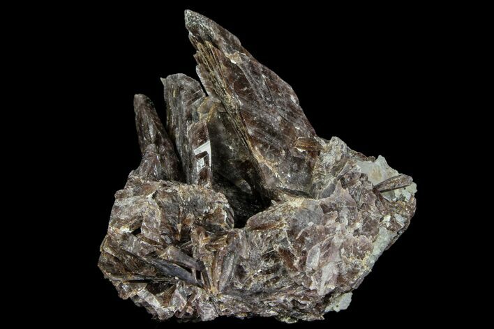 Axinite Crystal Cluster - Peru #87727